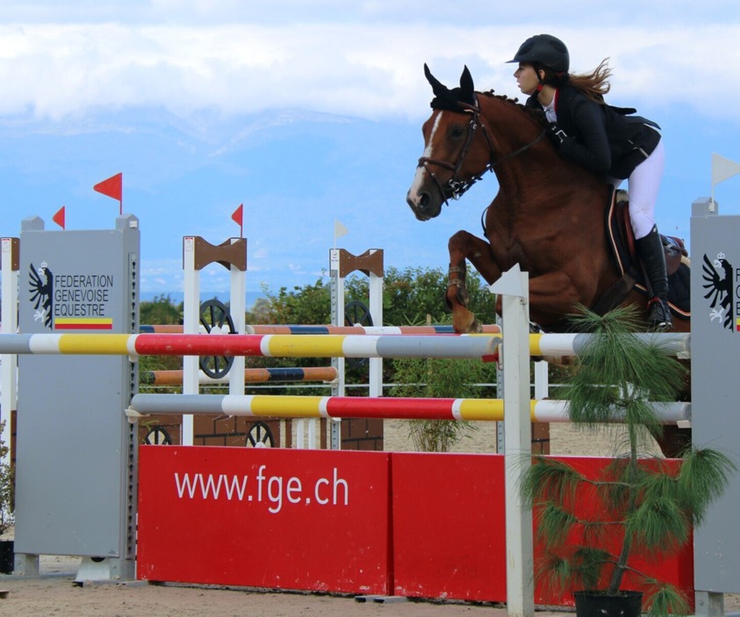 Description de l'image