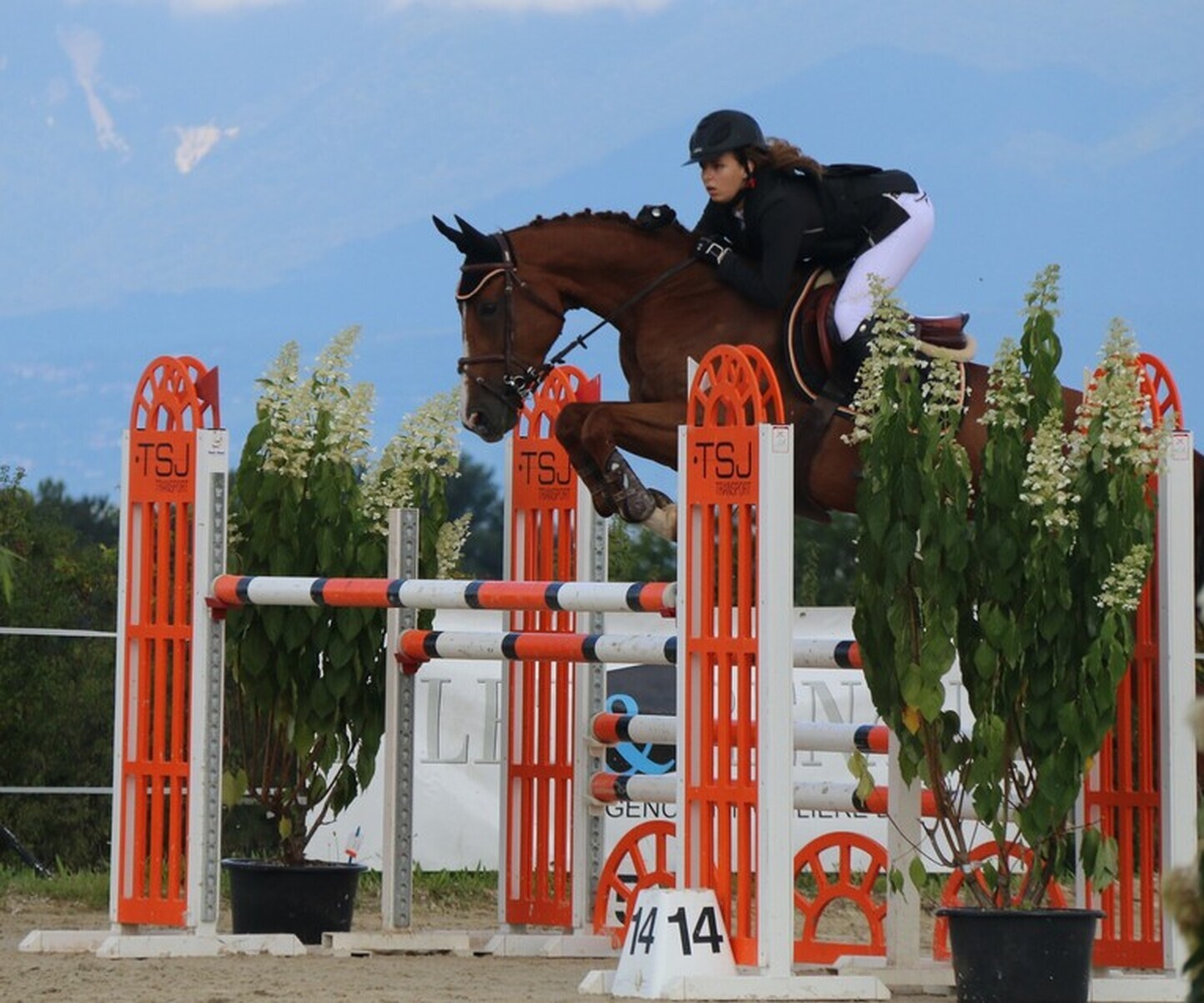 Description de l'image