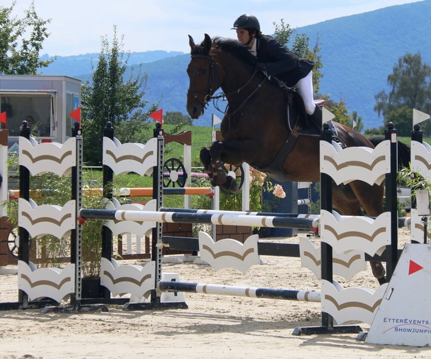 Description de l'image