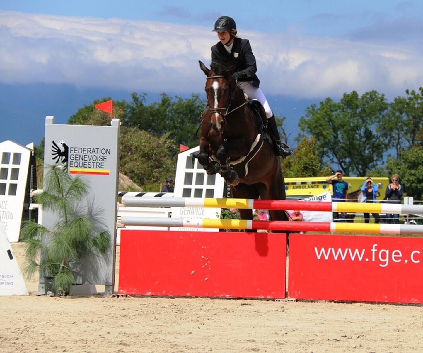 Description de l'image