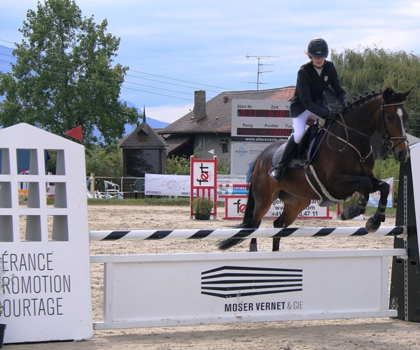 Description de l'image