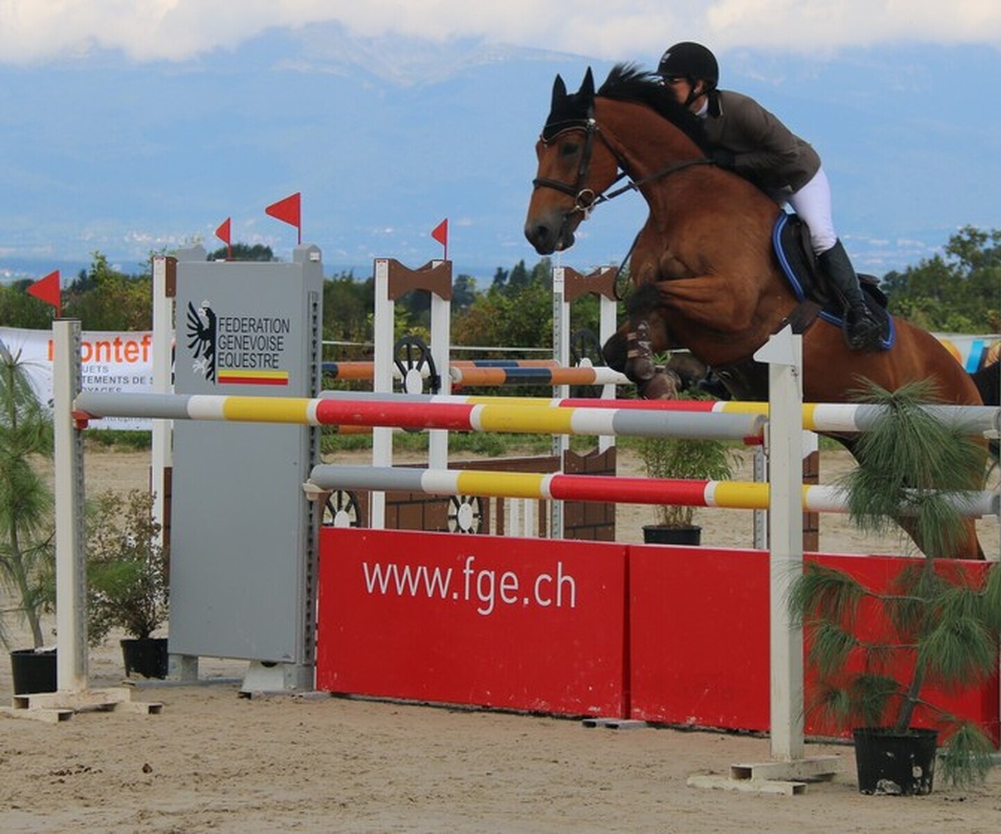 Description de l'image