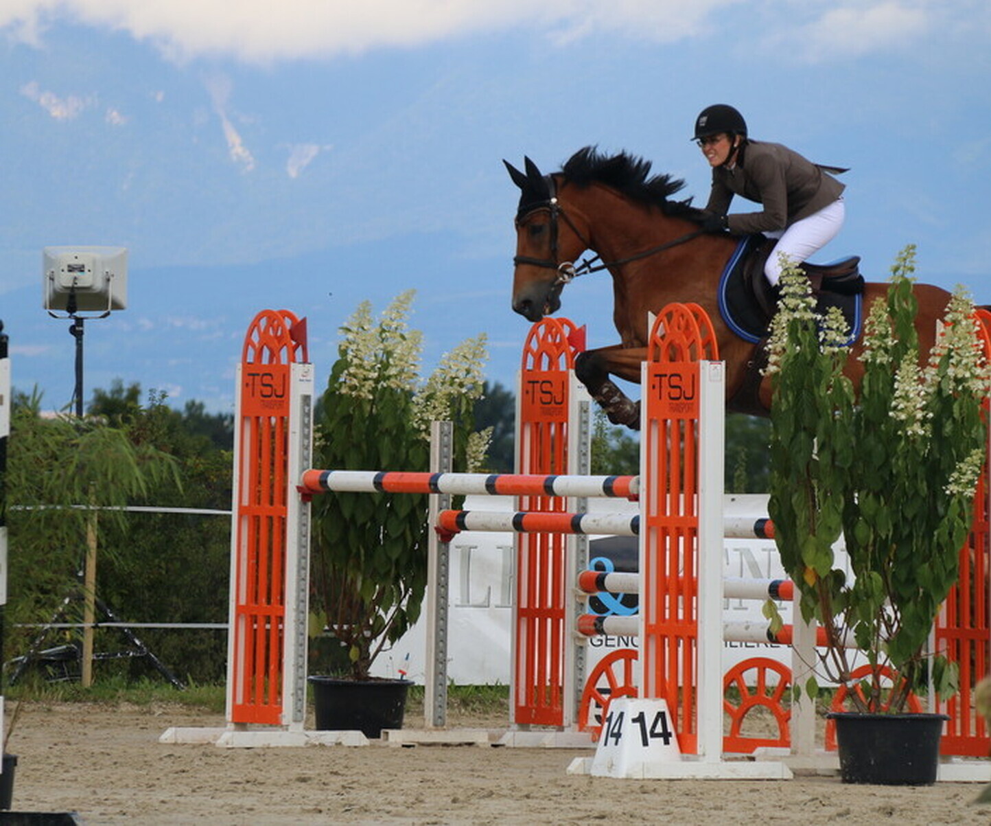 Description de l'image