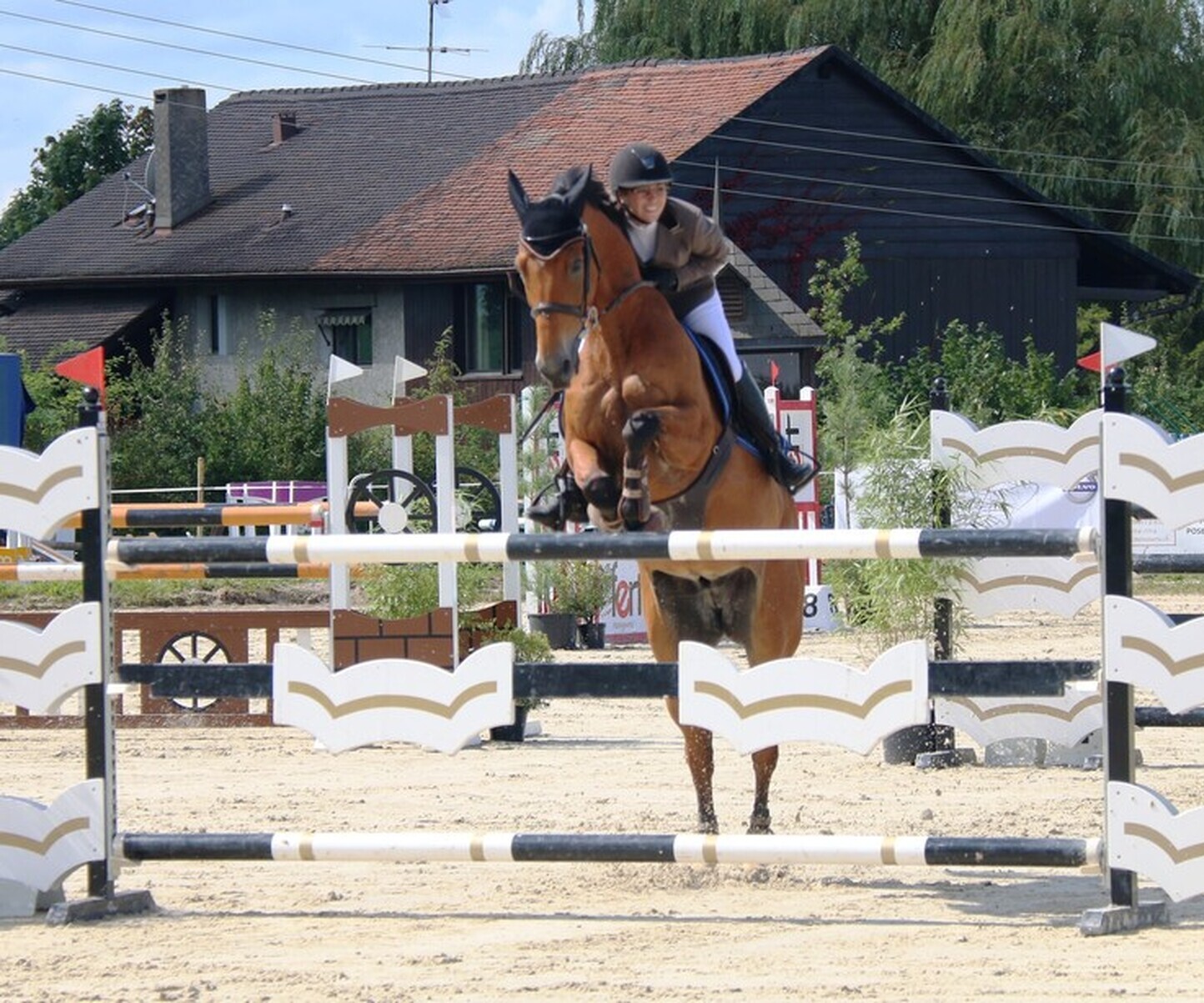 Description de l'image