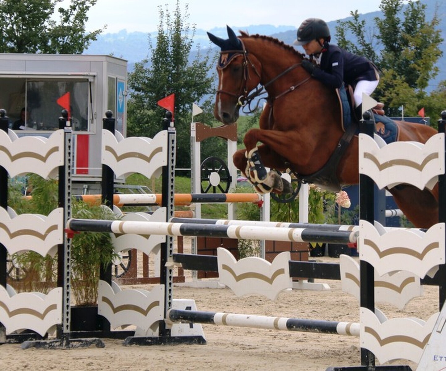 Description de l'image