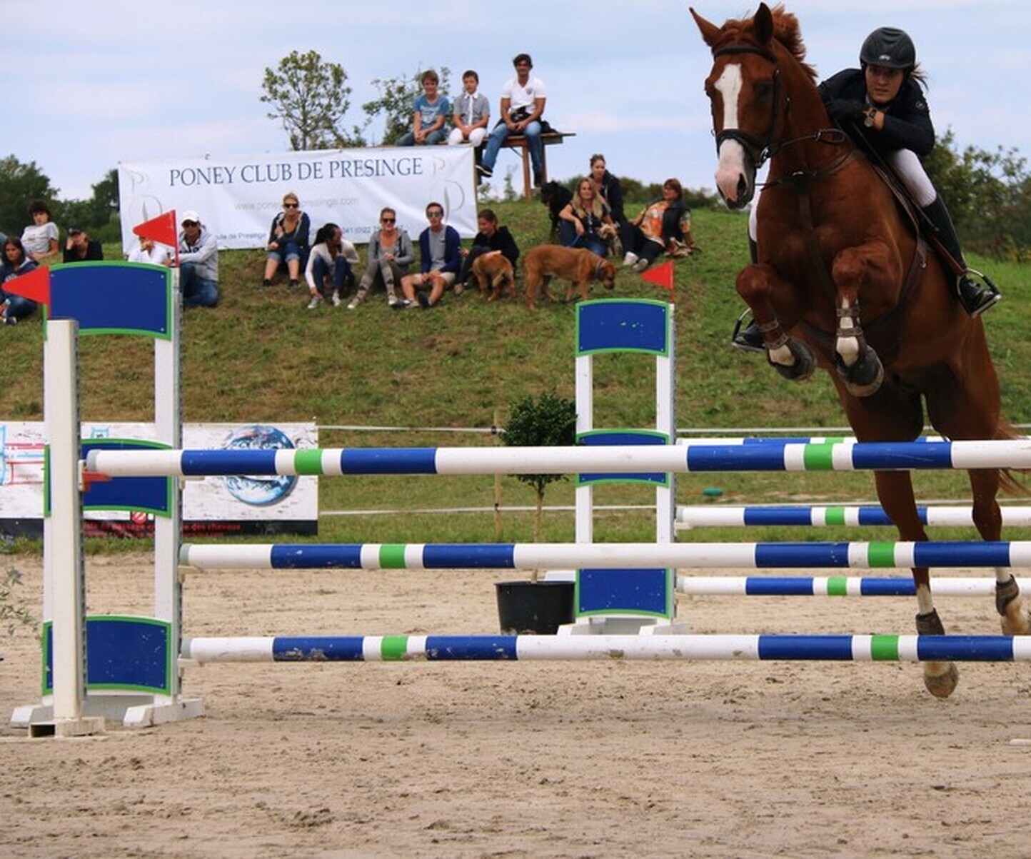 Description de l'image