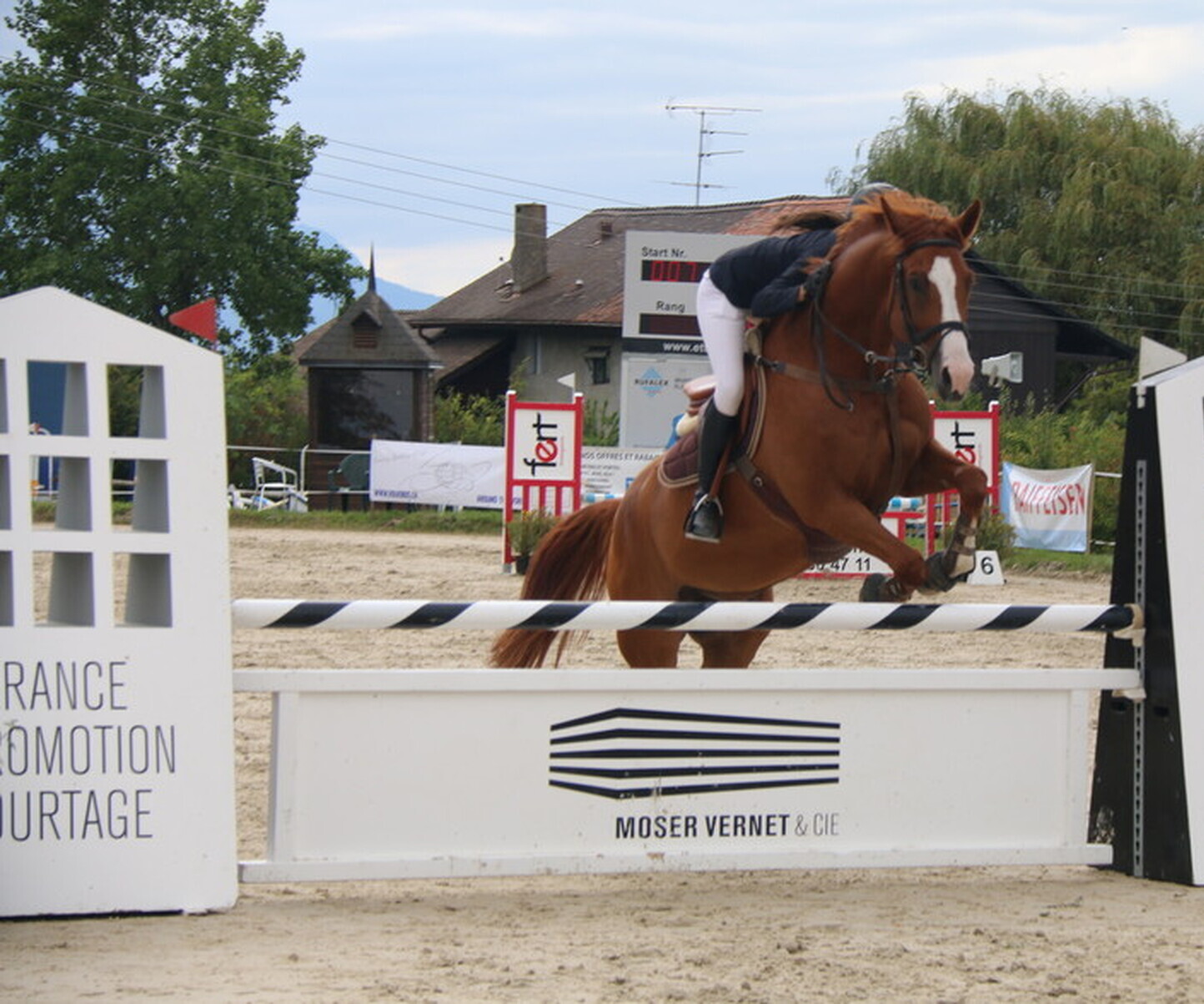 Description de l'image