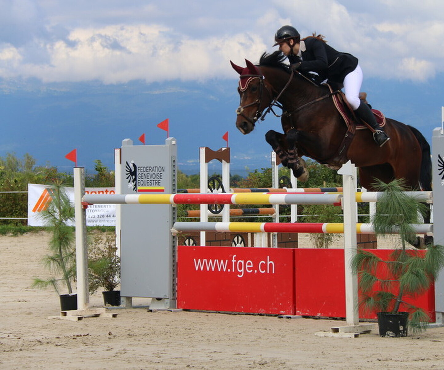 Description de l'image