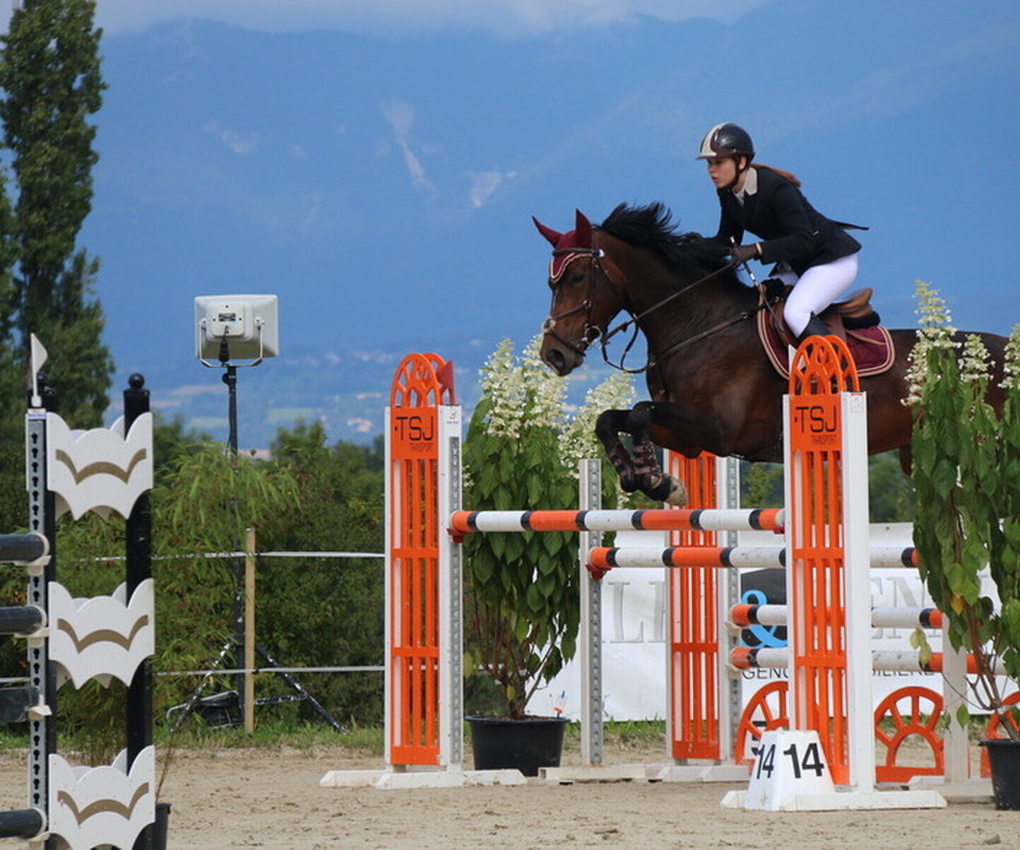 Description de l'image