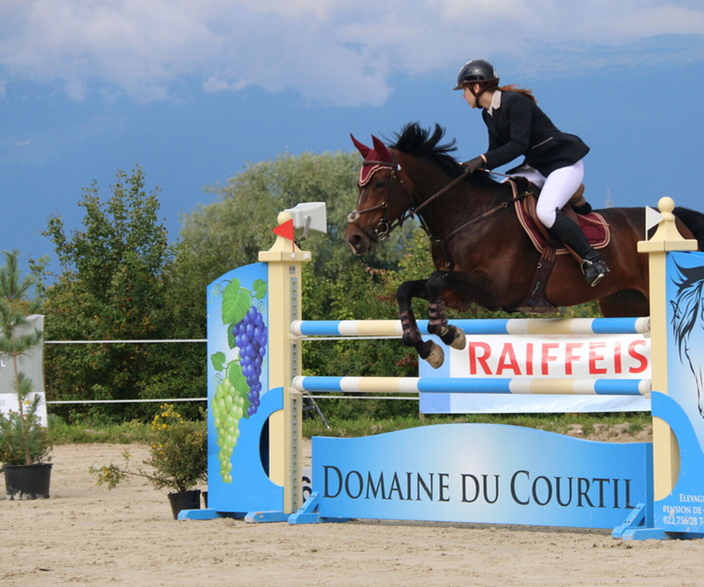 Description de l'image