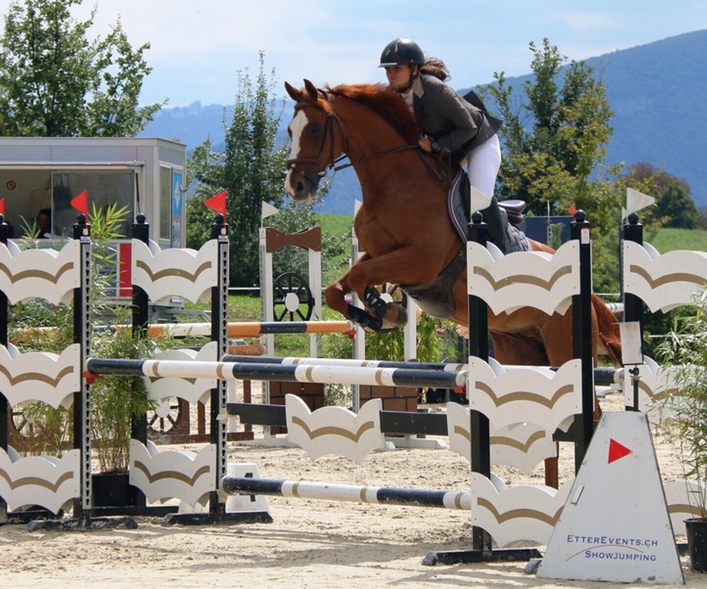 Description de l'image