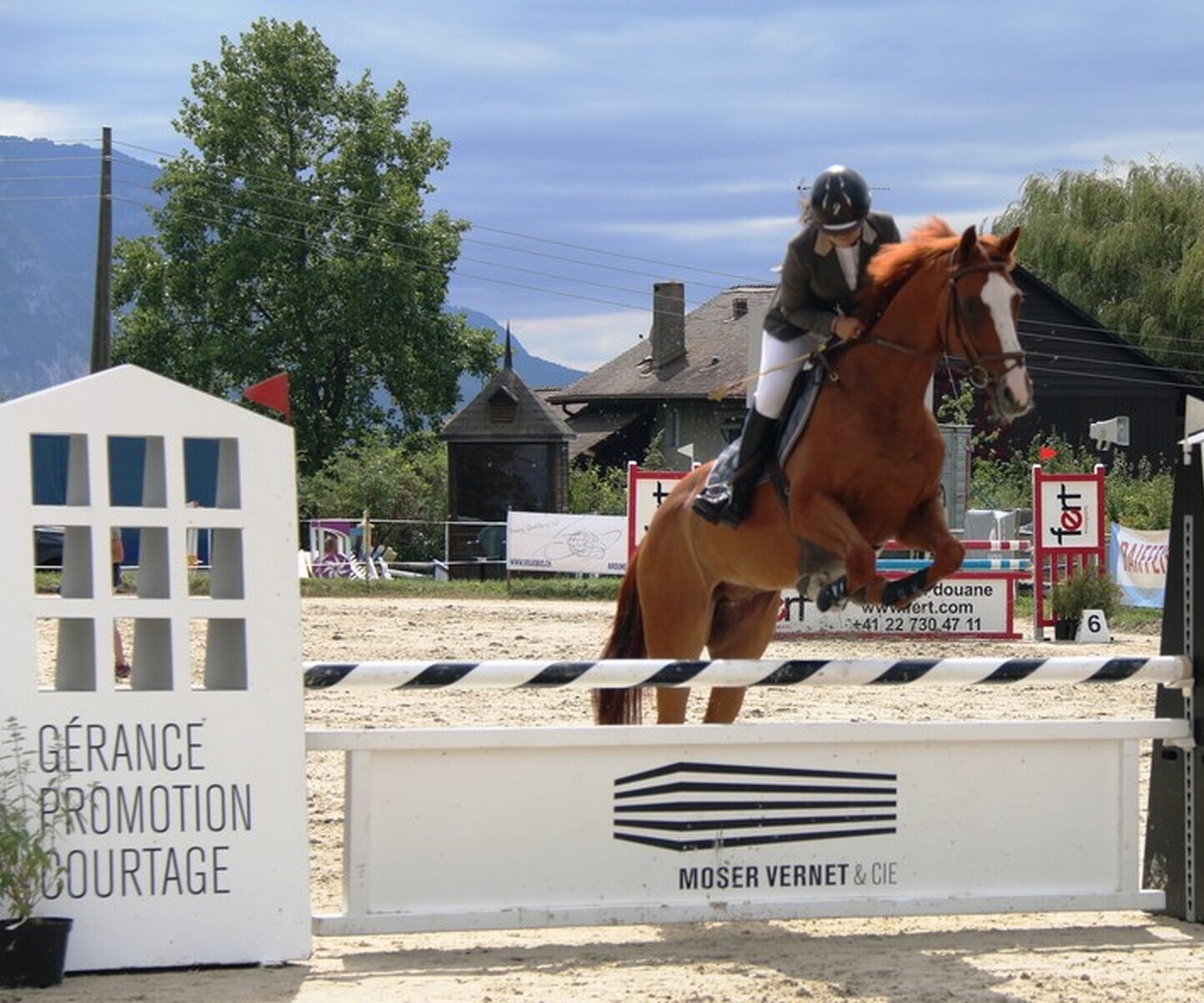 Description de l'image