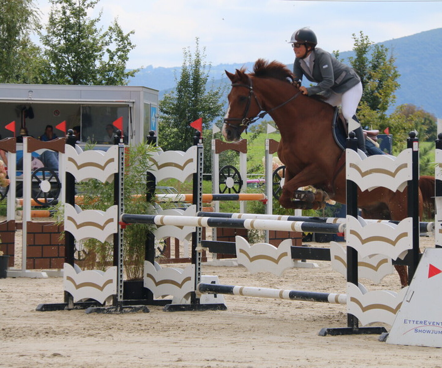 Description de l'image