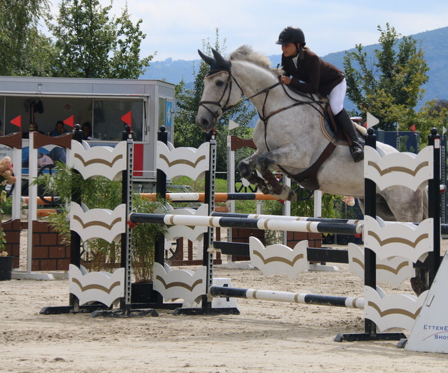 Description de l'image