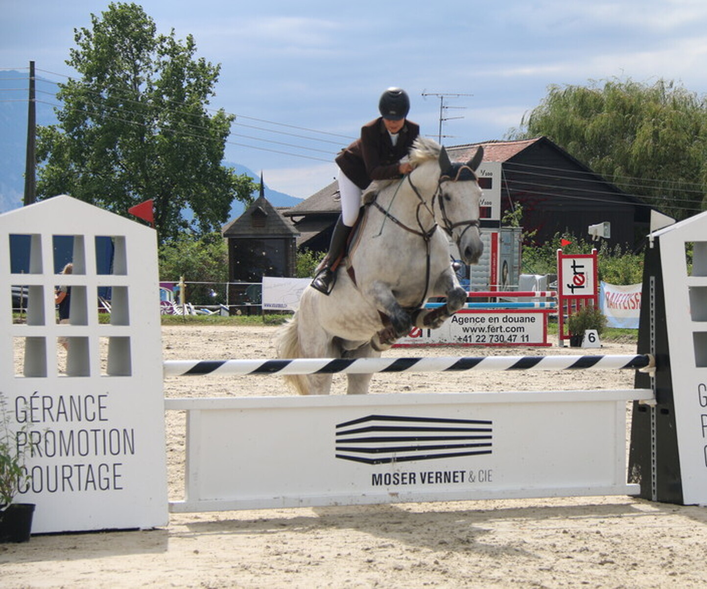 Description de l'image