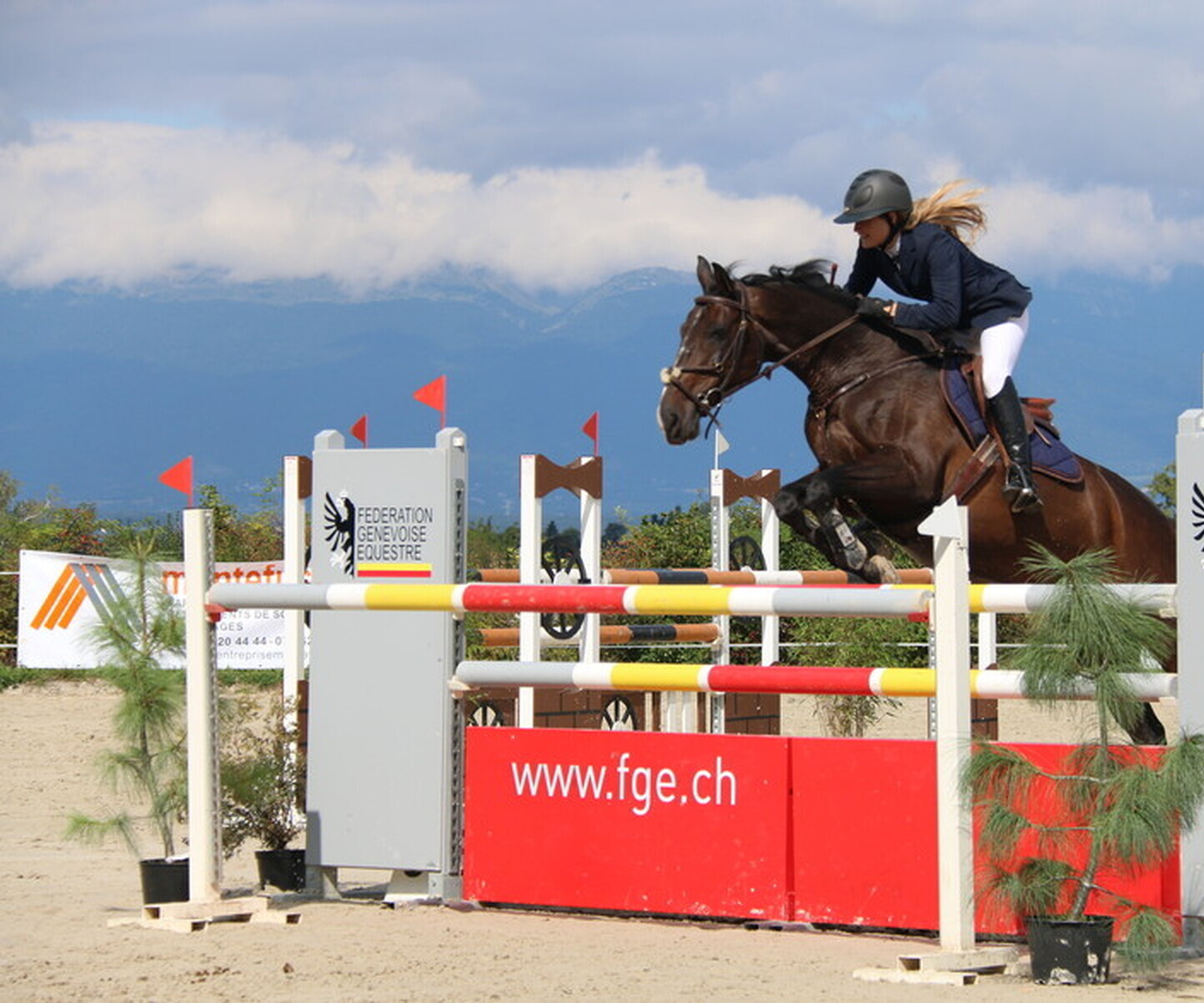 Description de l'image