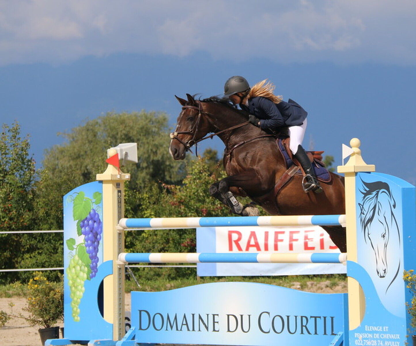 Description de l'image