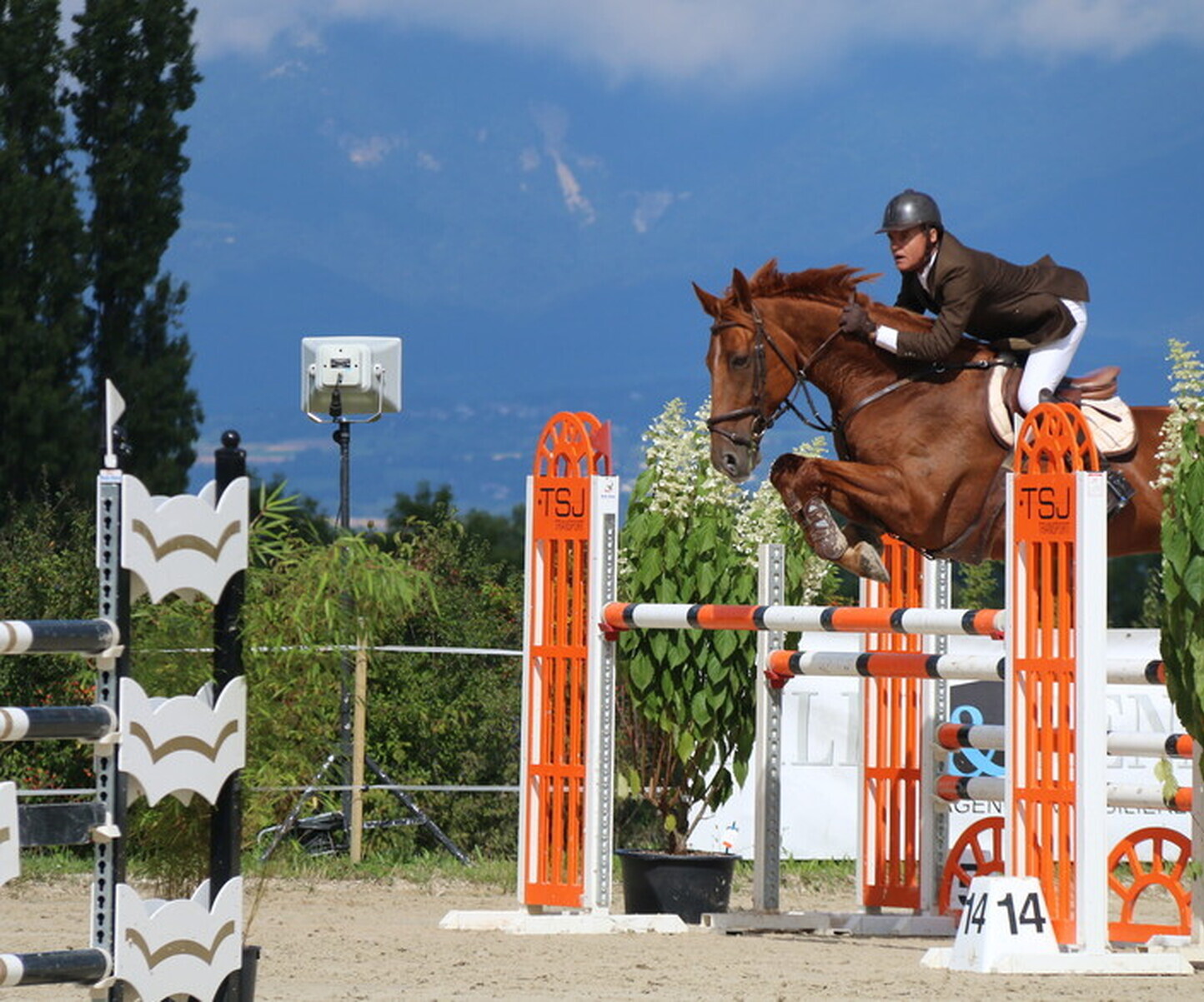 Description de l'image