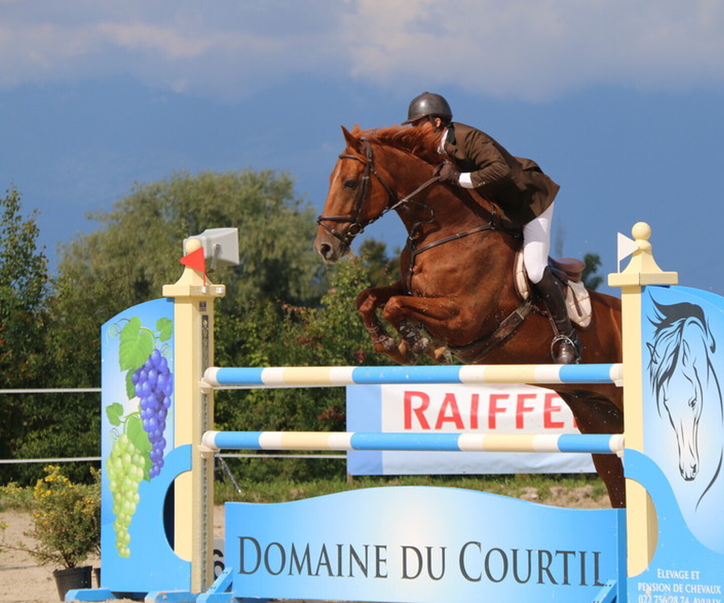 Description de l'image