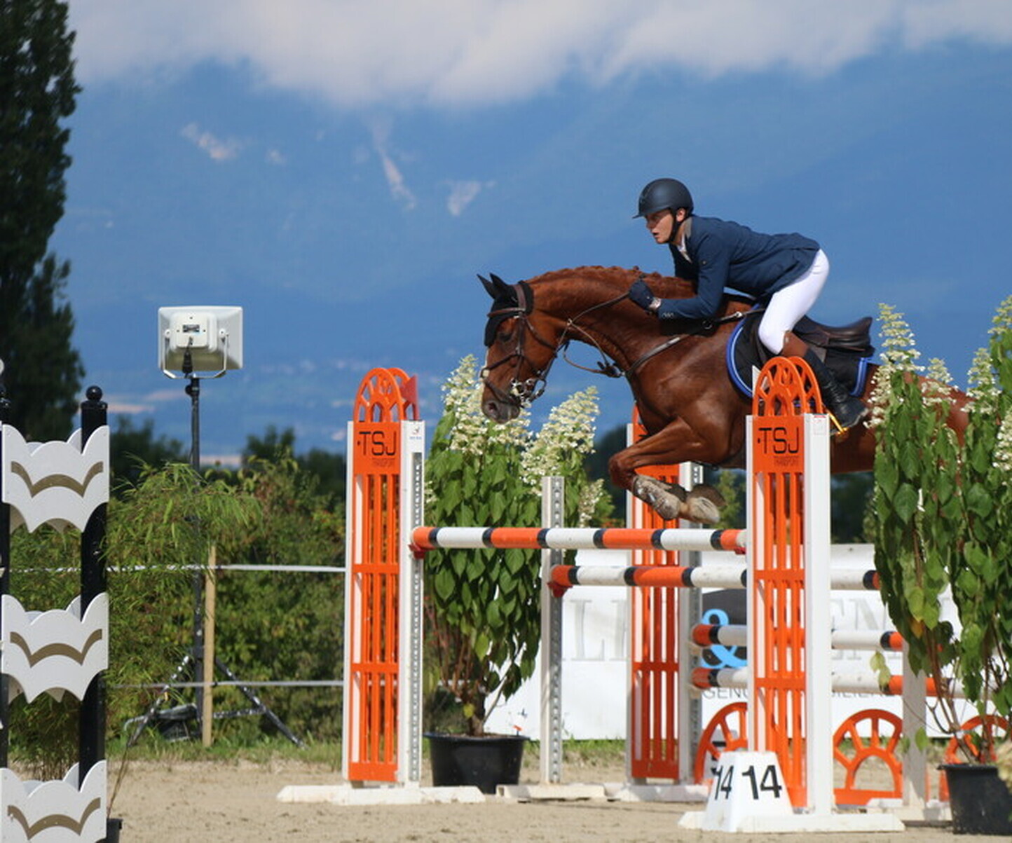 Description de l'image