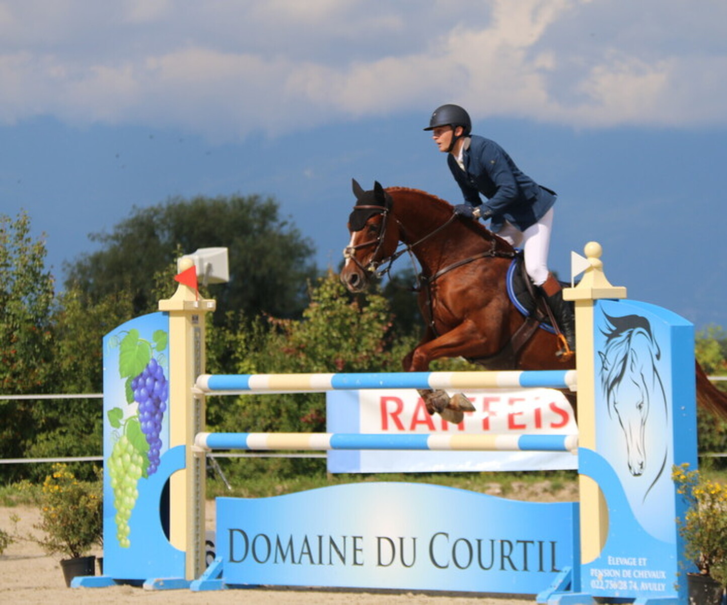 Description de l'image