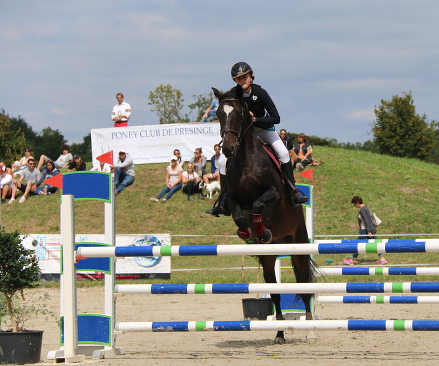 Description de l'image