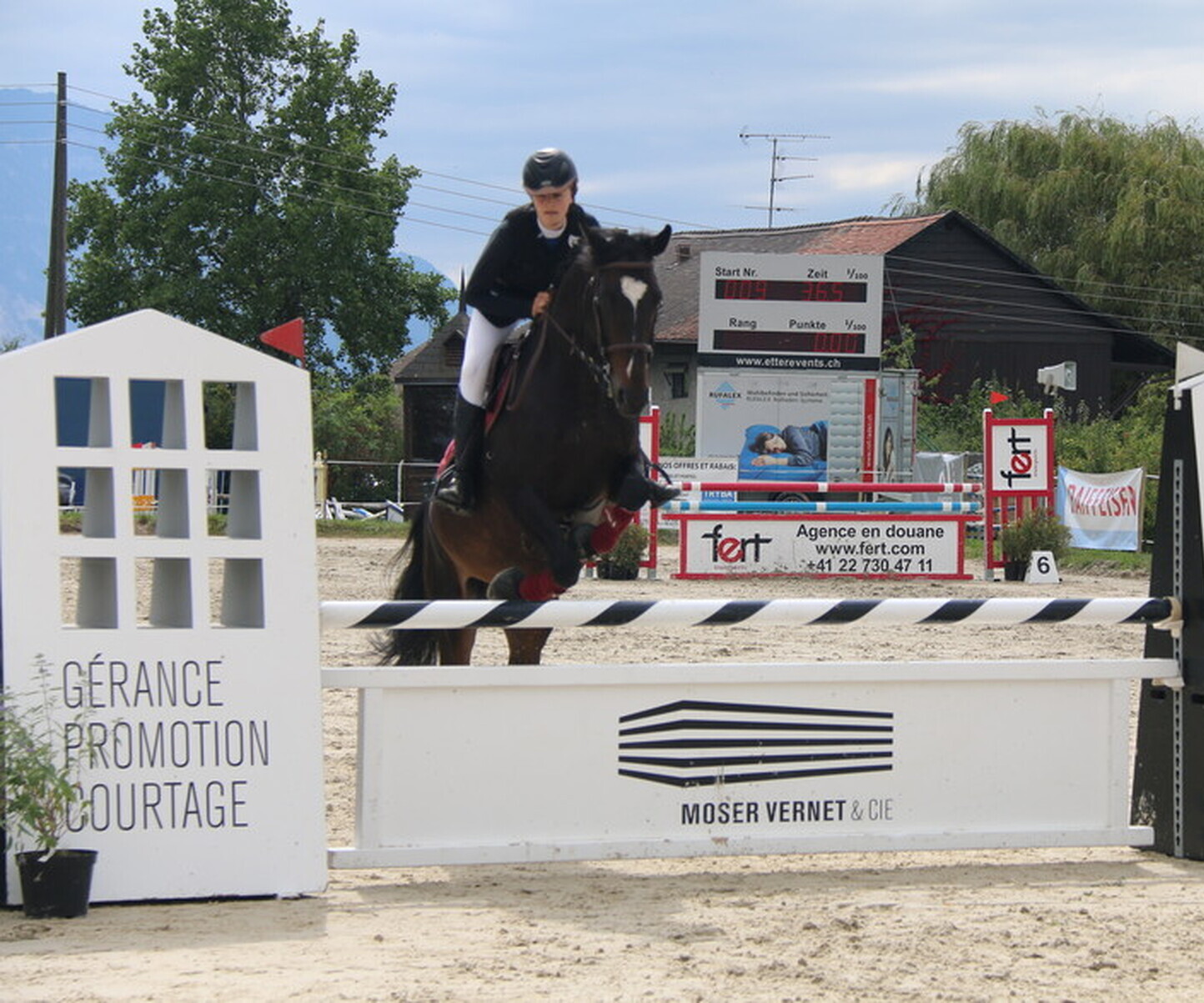 Description de l'image