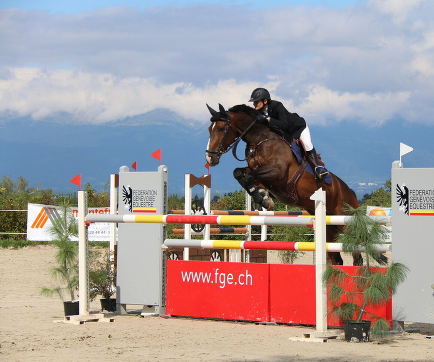 Description de l'image