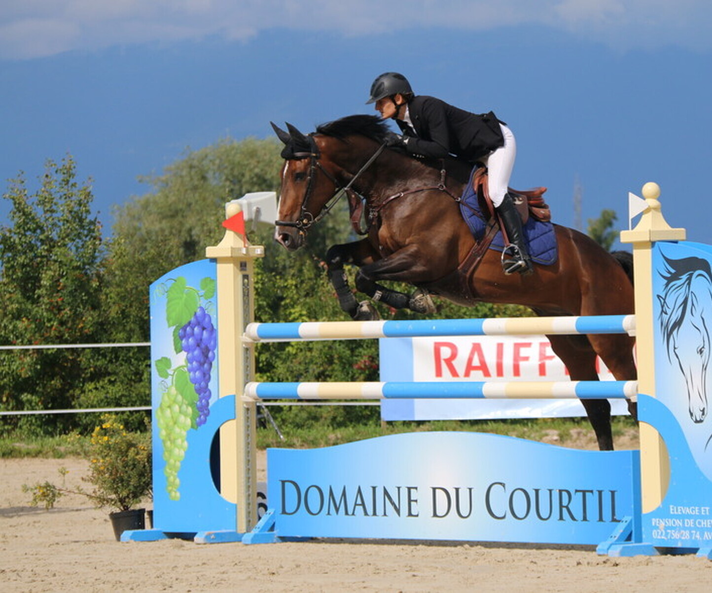 Description de l'image