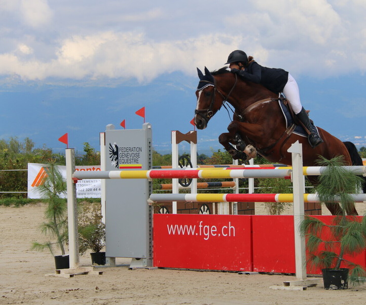 Description de l'image