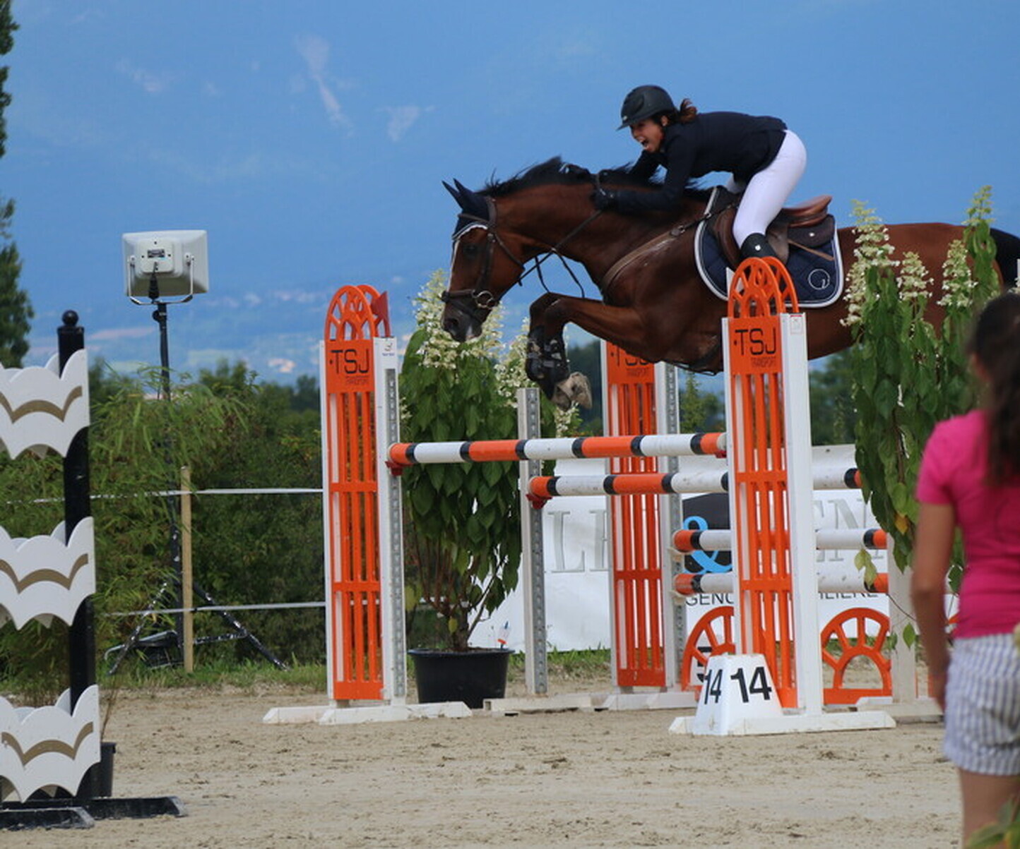 Description de l'image