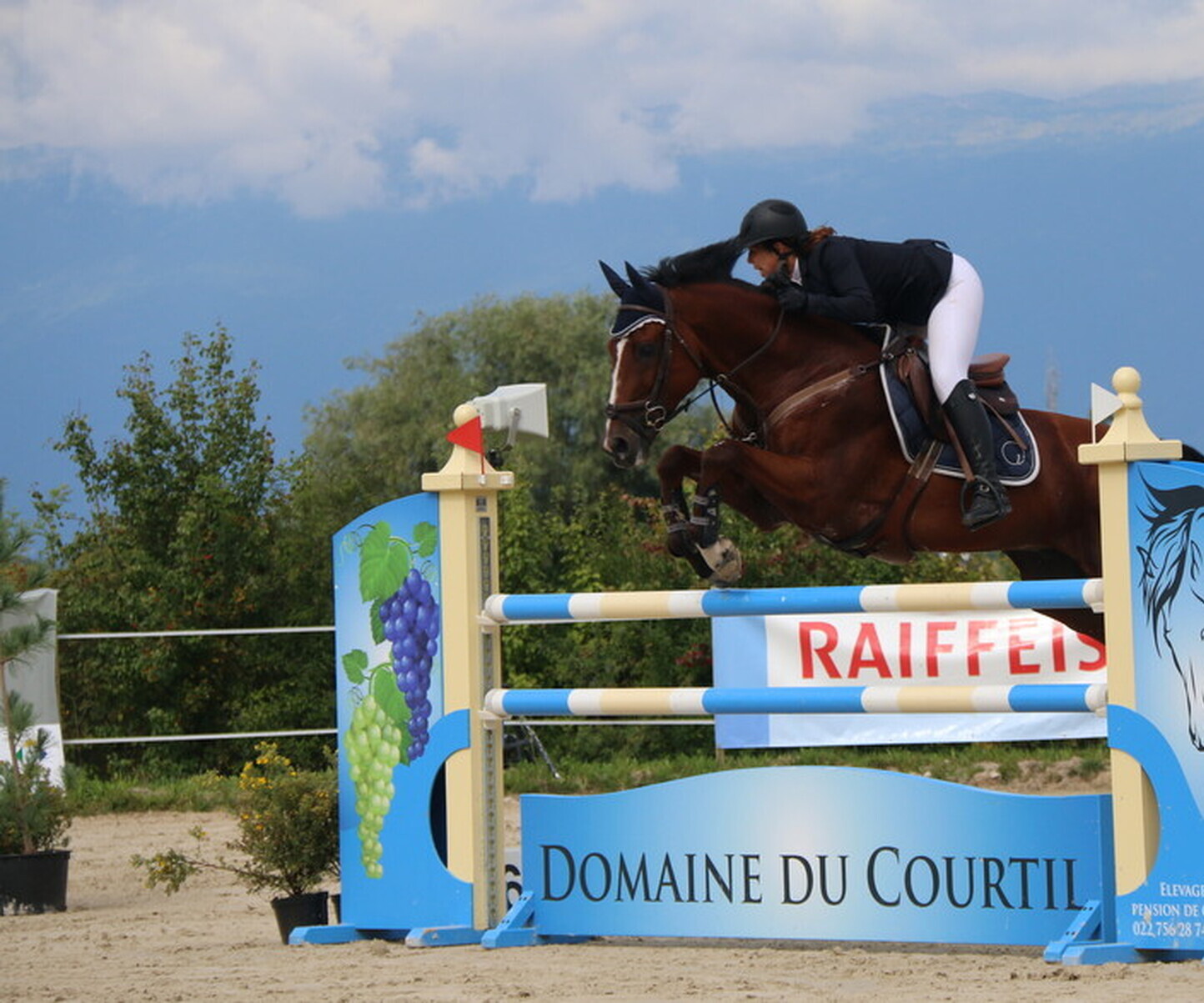 Description de l'image