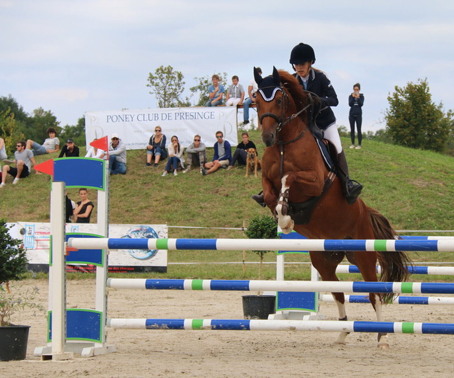 Description de l'image