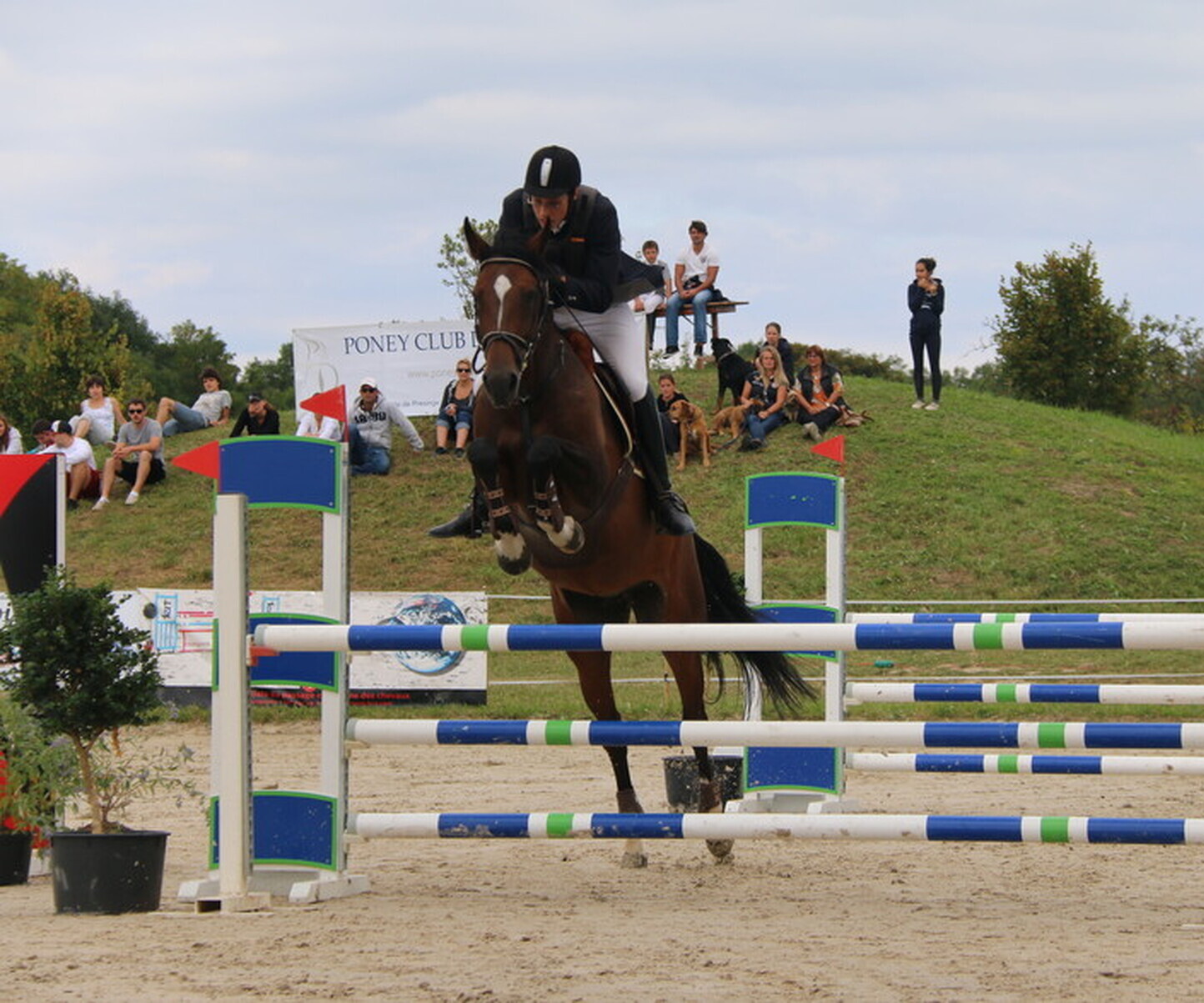 Description de l'image