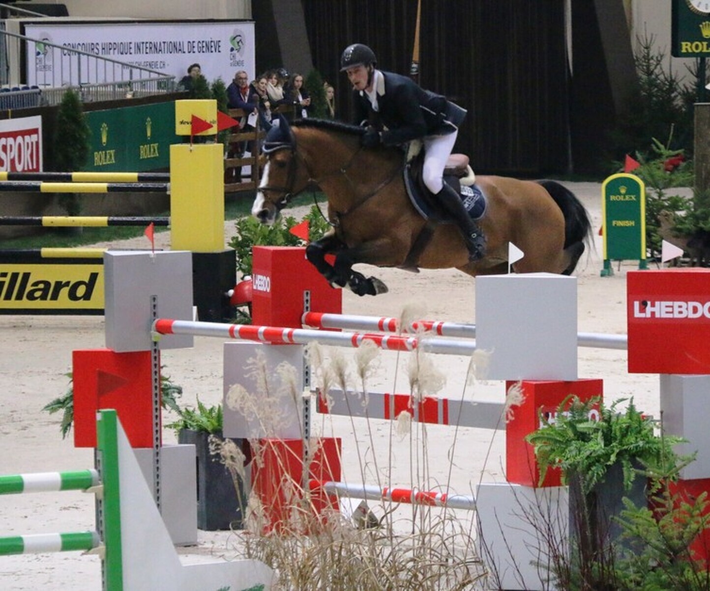 Description de l'image