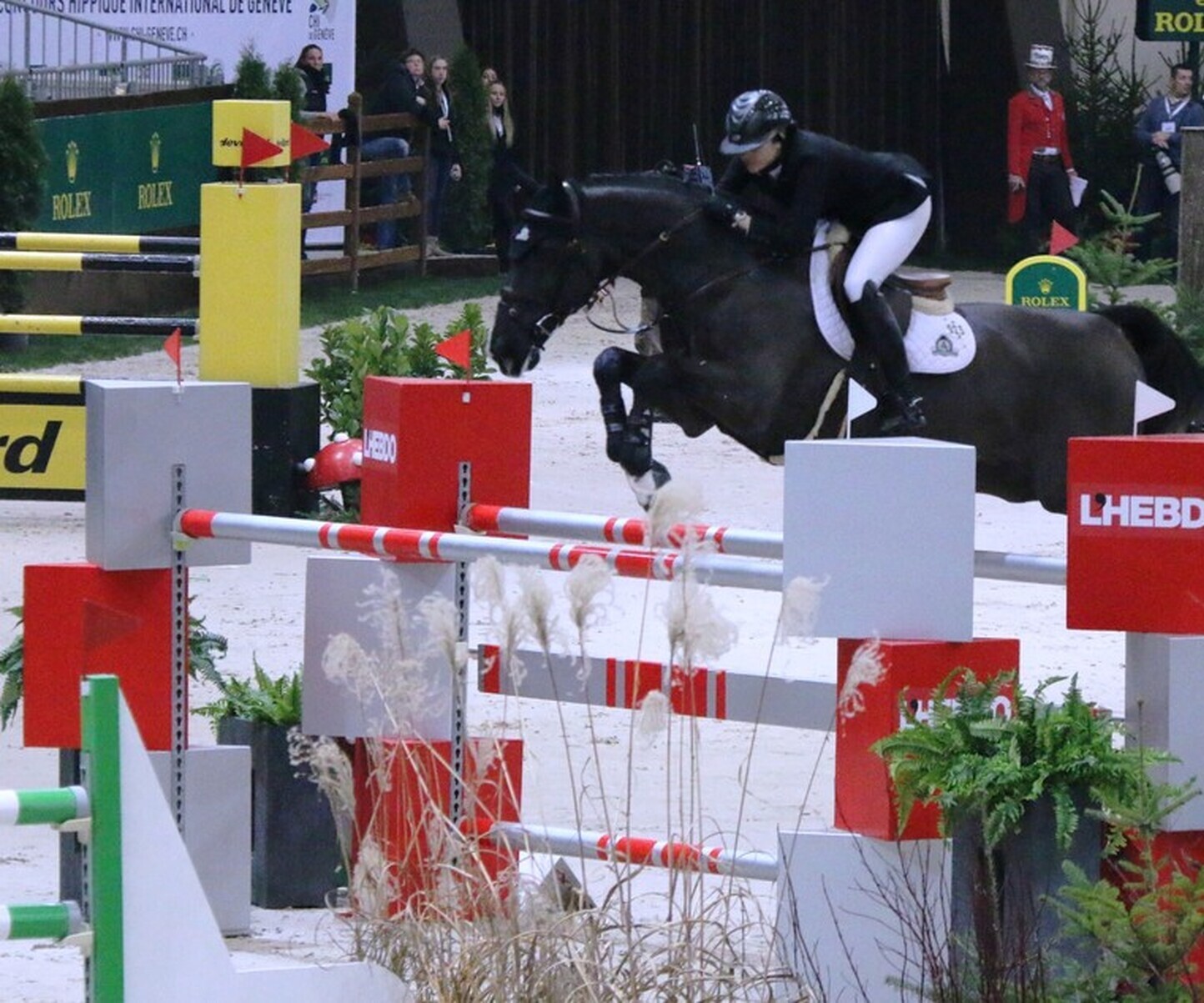 Description de l'image