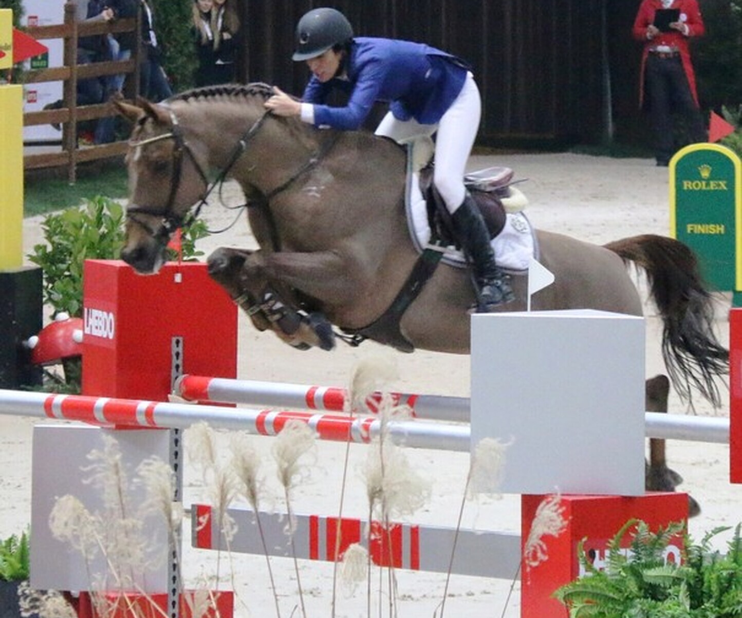 Description de l'image