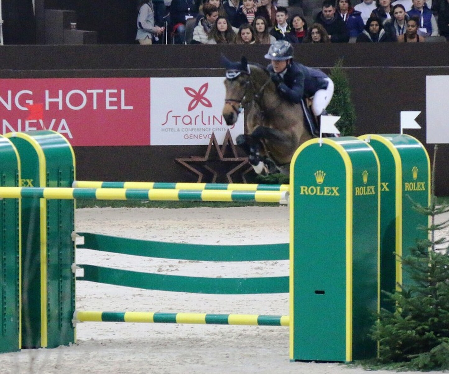 Description de l'image