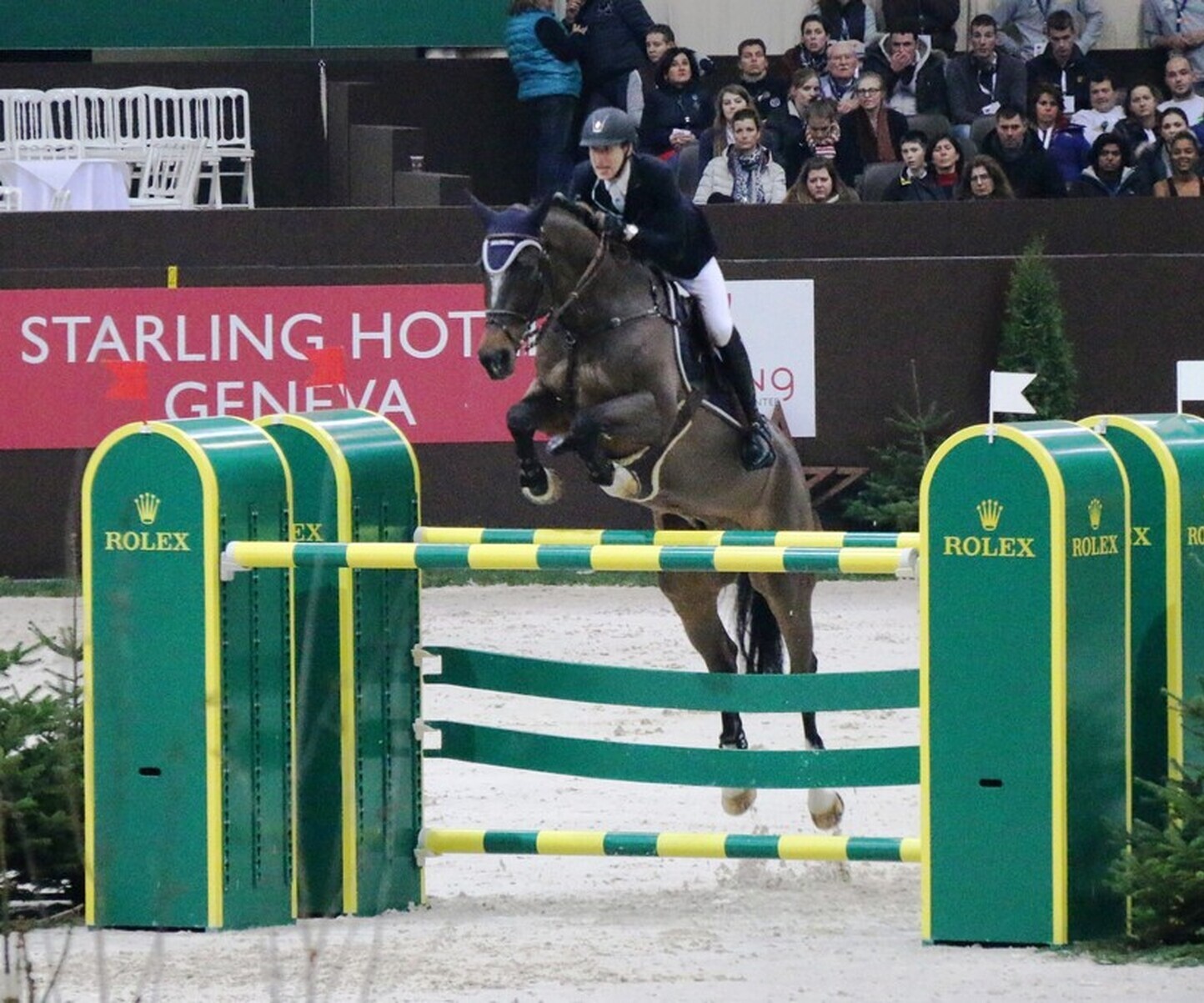 Description de l'image