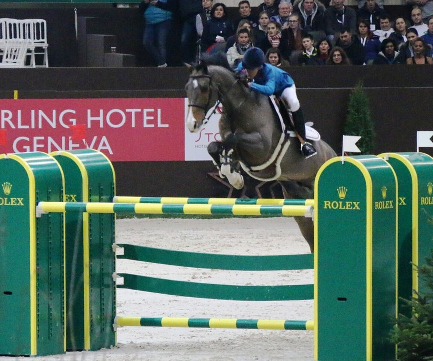 Description de l'image