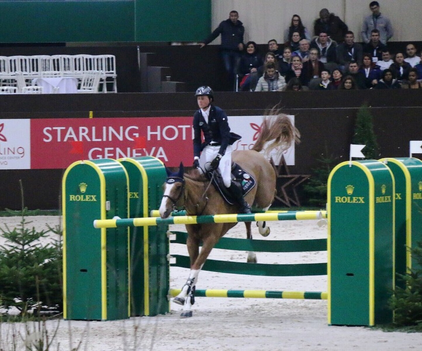 Description de l'image