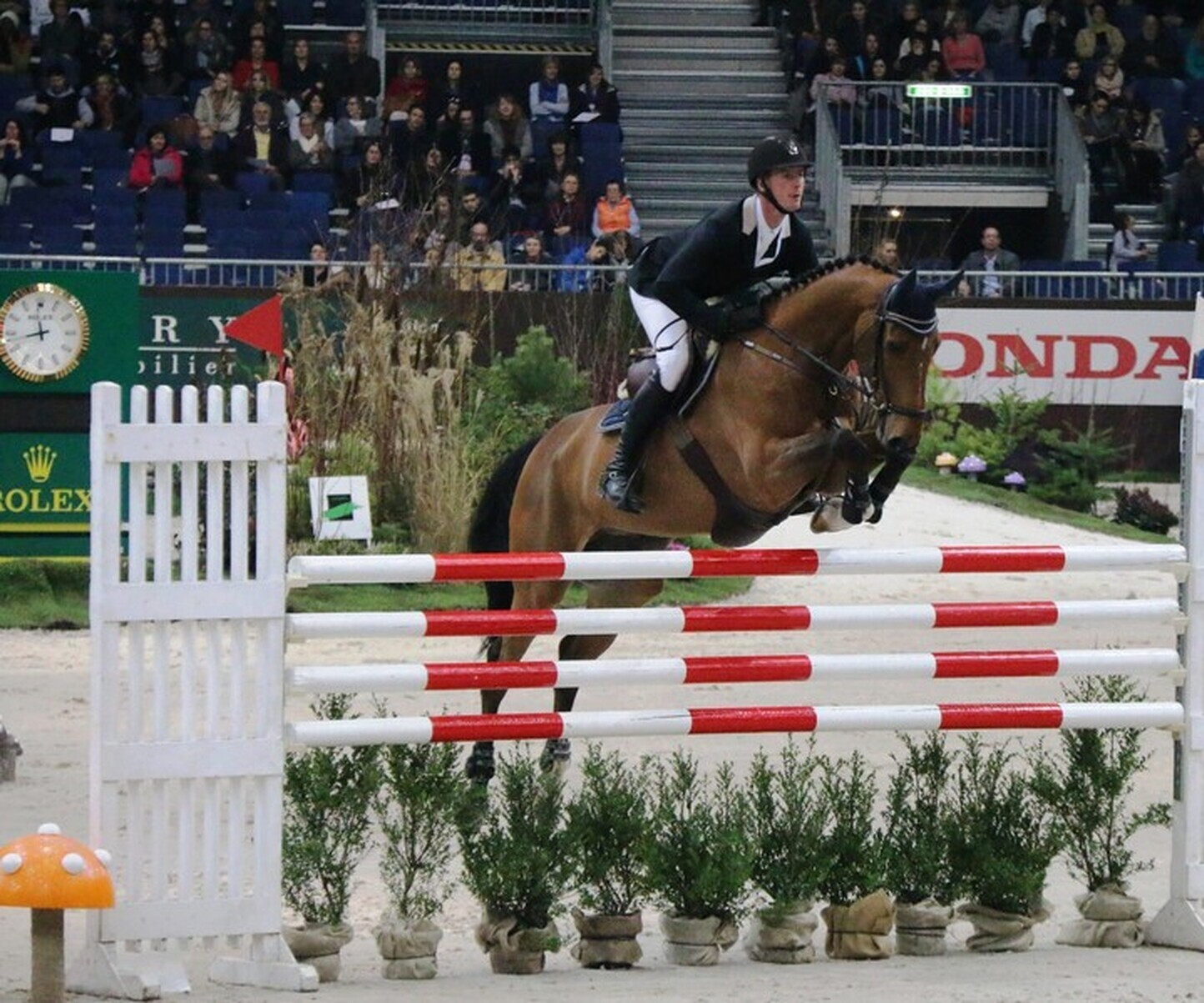 Description de l'image