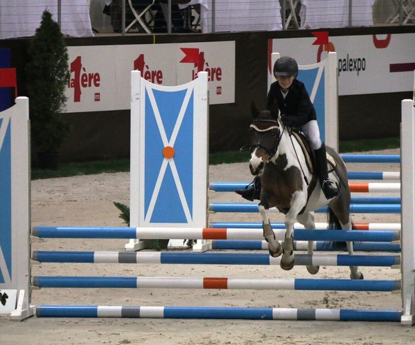 Description de l'image