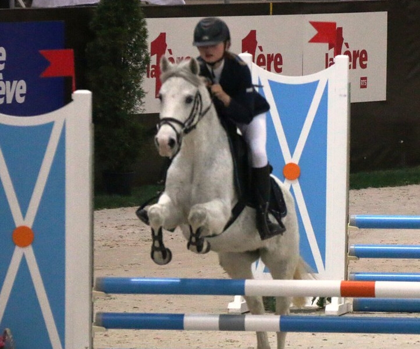 Description de l'image