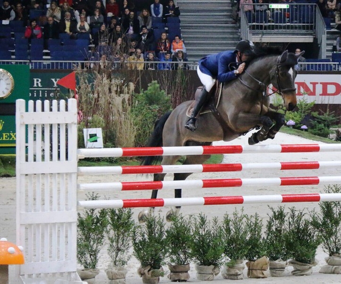 Description de l'image