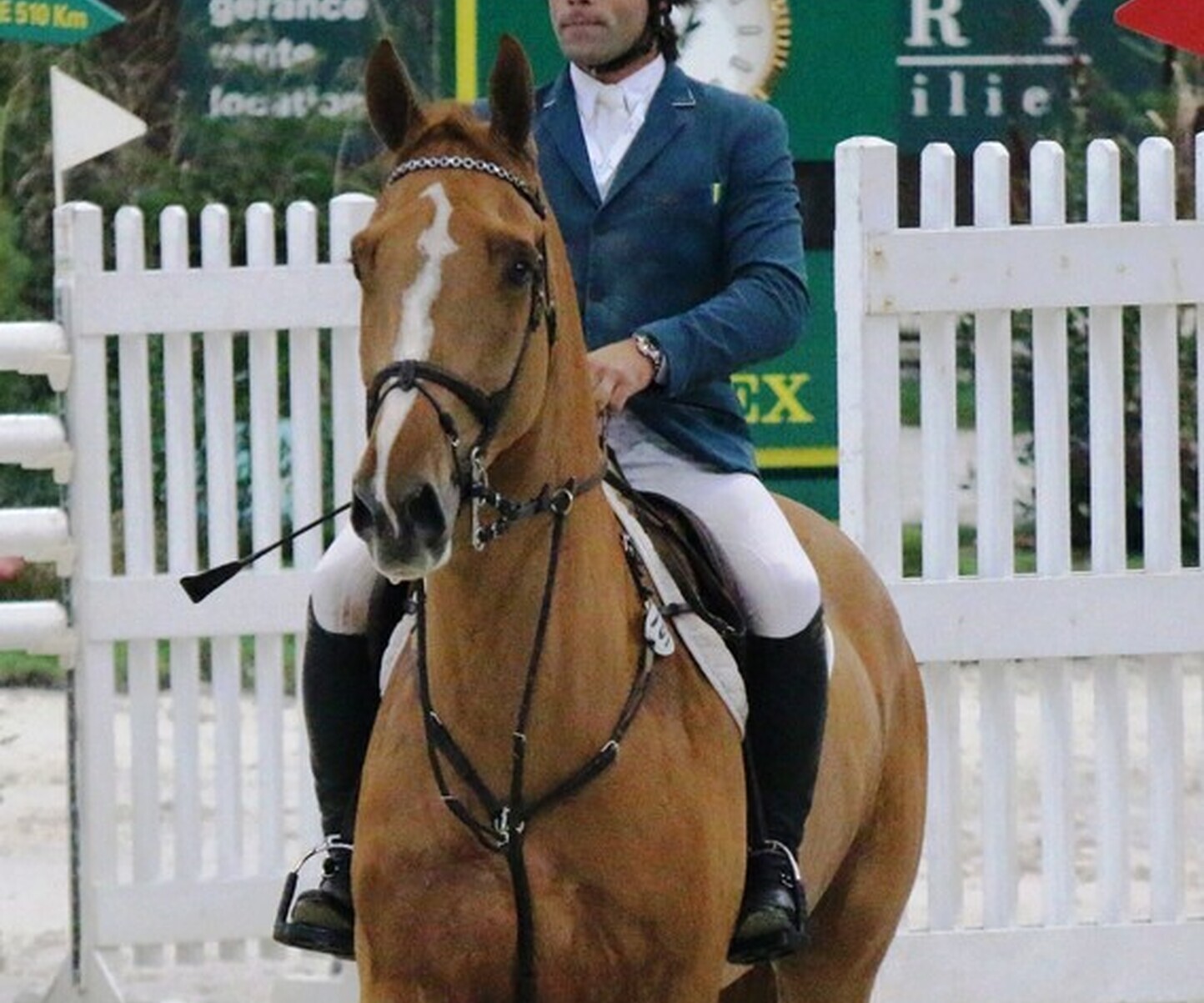 Description de l'image