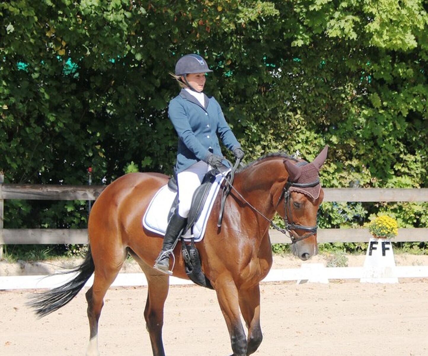 Photos Dressage Degré 2 Onex