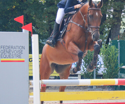 Finales BR à la Gambade