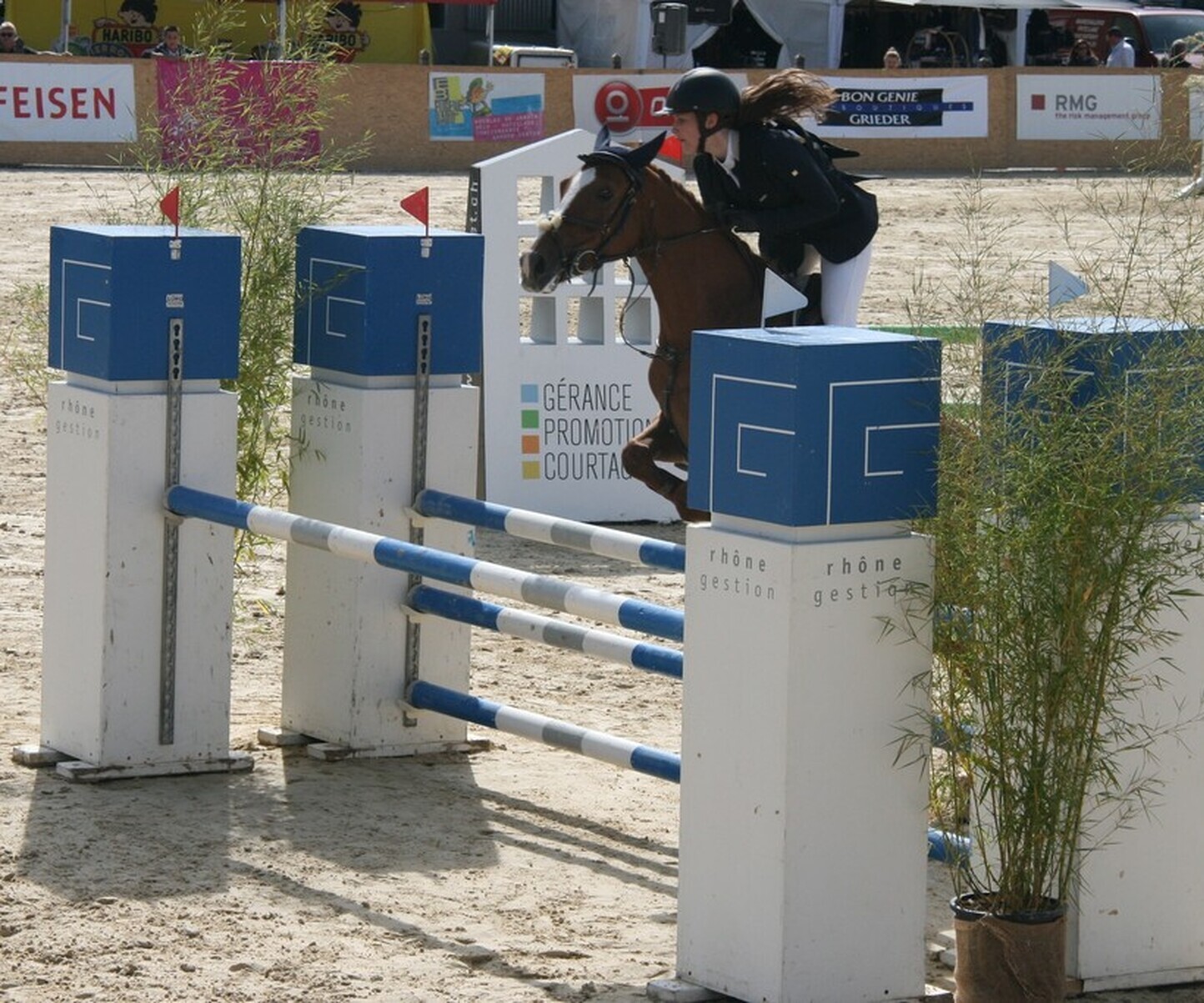 Description de l'image