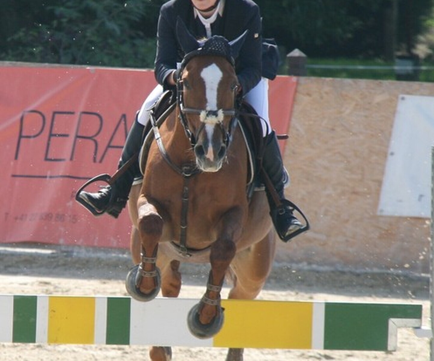 Description de l'image